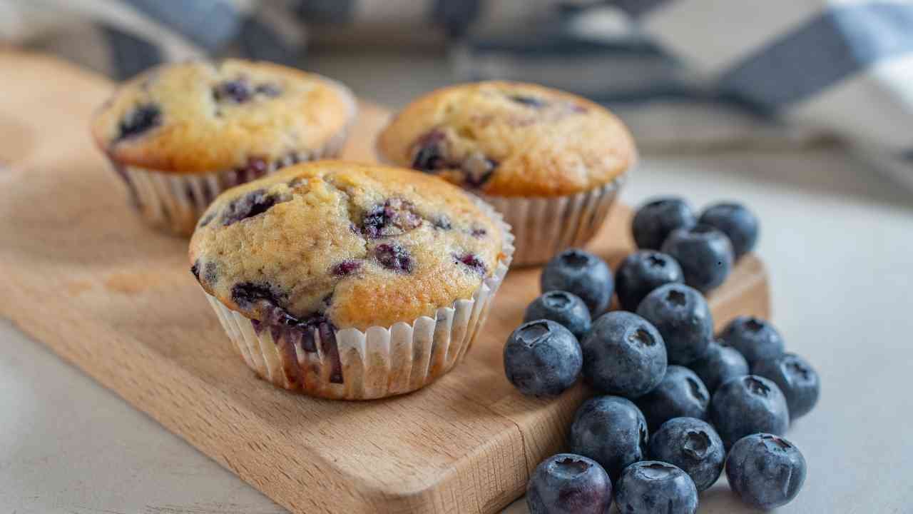 Blueberry Muffins